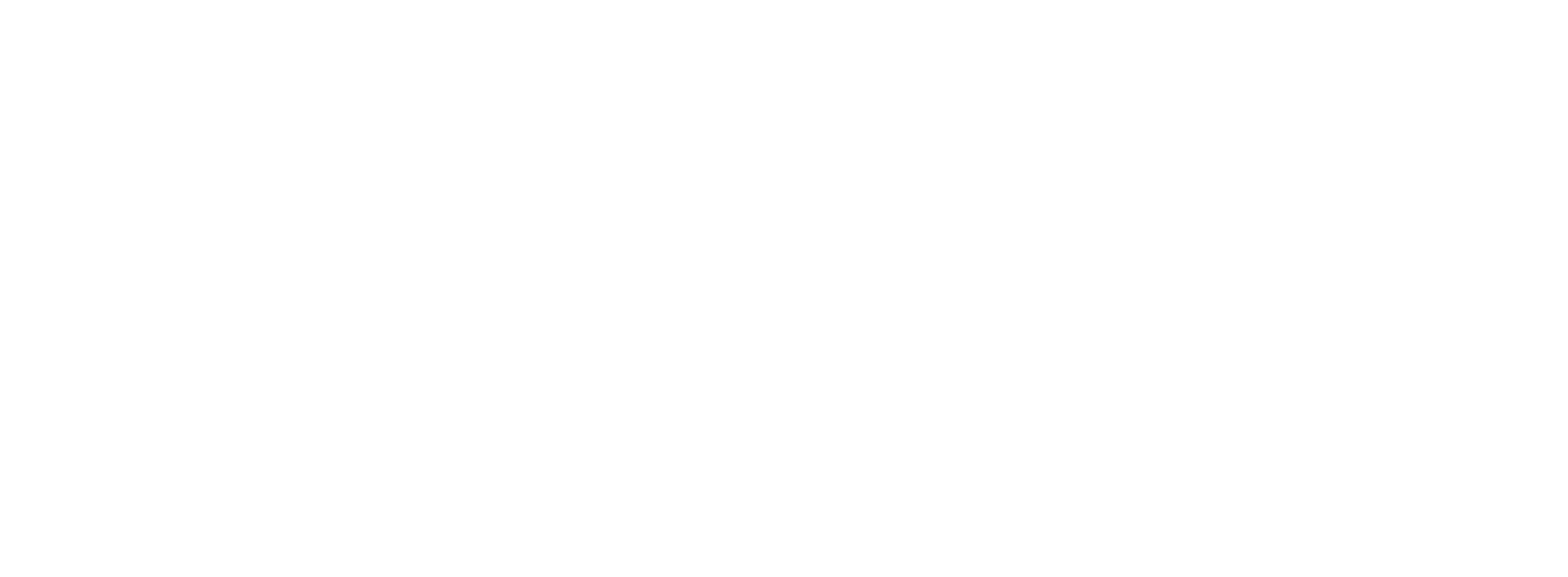 Synco Digital