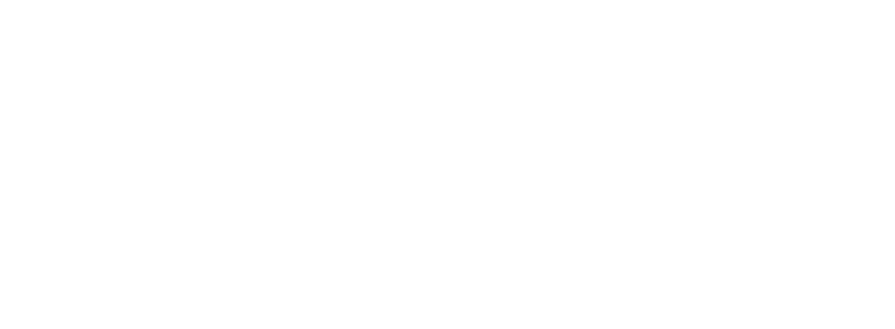 Synco Digital